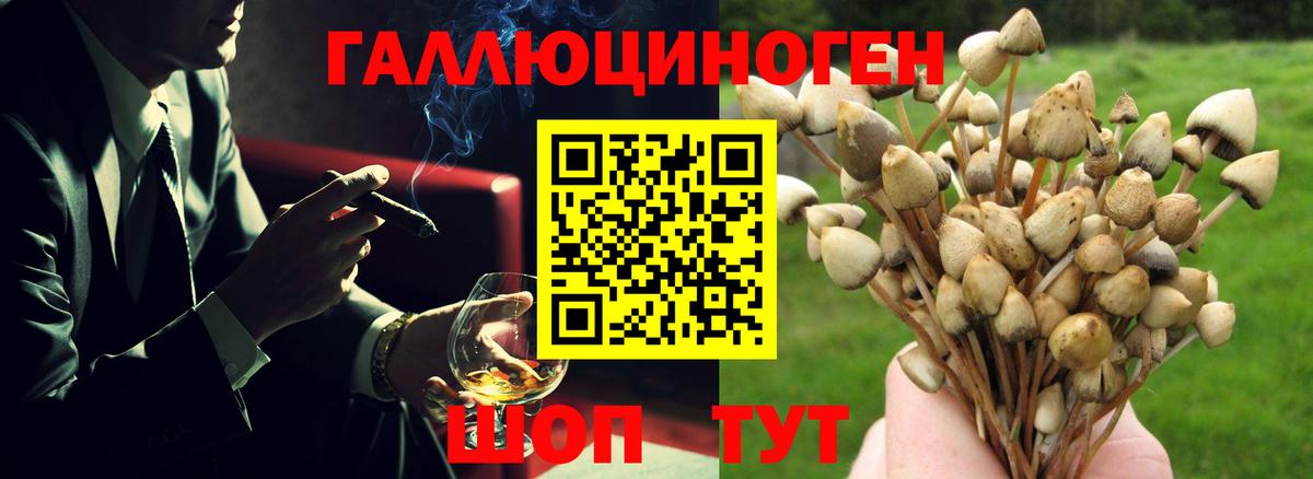 Псилоцибиновые грибы прущие грибы  Псилоцибиновые грибы мицелий  Вход с VPN  Ливны 